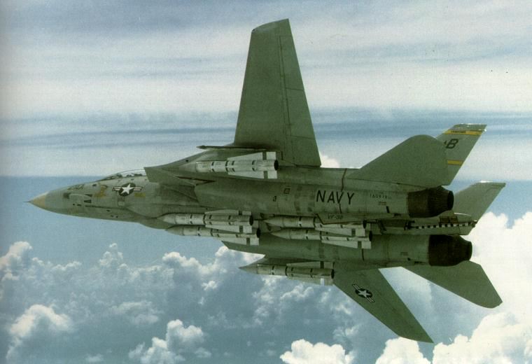 grumman f14 tomcat. f14-1-TPP.